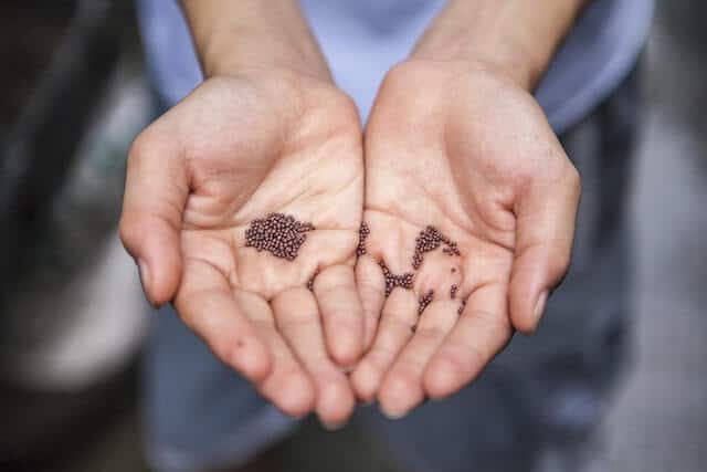 garden seeds a hand holding up a lot of garden seeds on the palm
