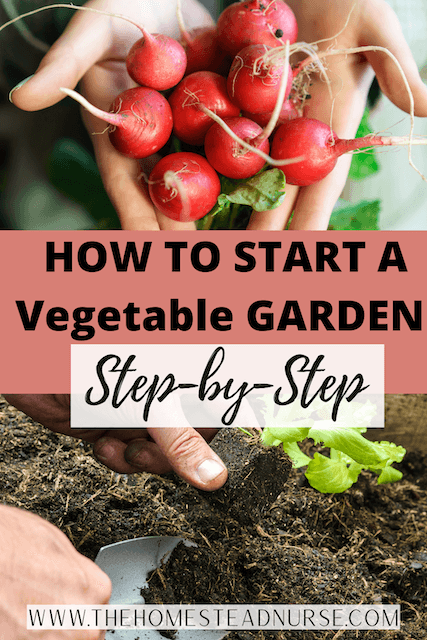 5 (1) a pin about how to start a vegetable garden step by step