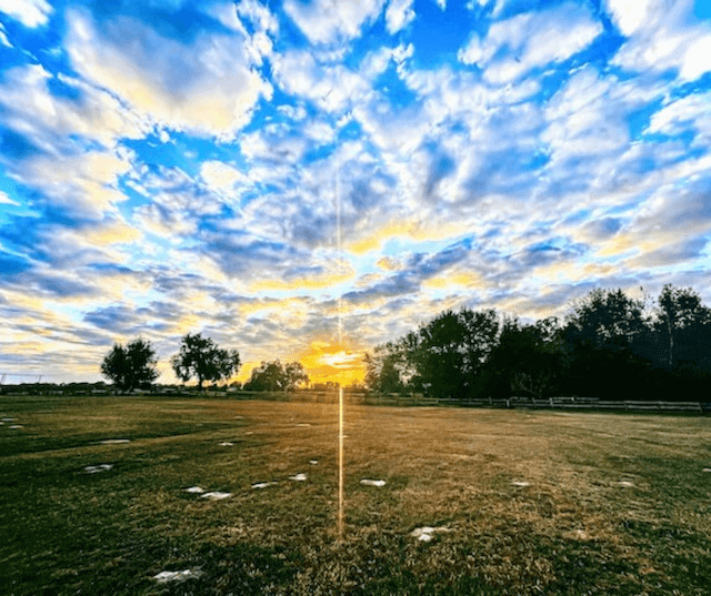 15 Important Things Learned: Buying Land in Florida to Farm on
