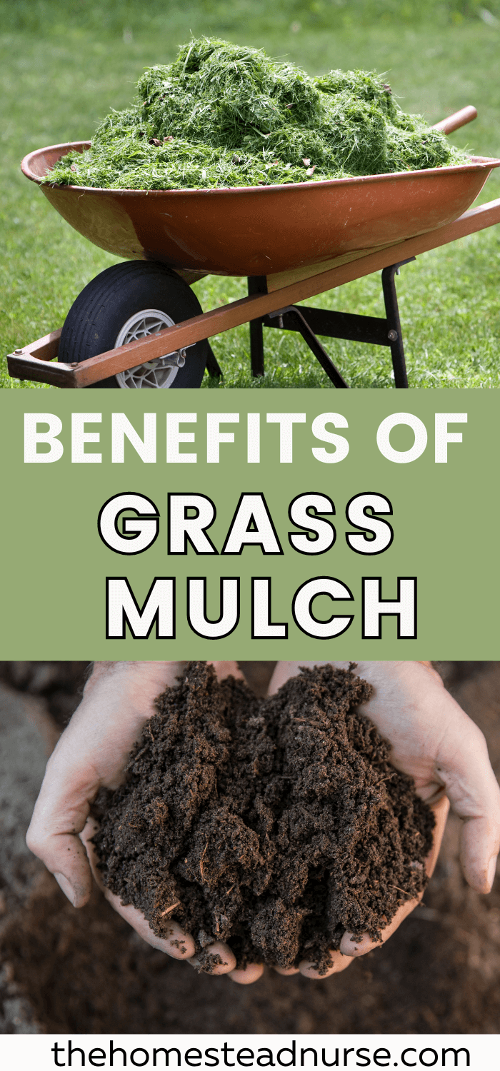 Lawn Grass Mulching Benefits from Clippings & Mowing - The Homestead Nurse