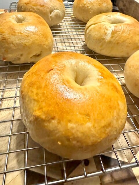 sourdough bagels on a wire rack