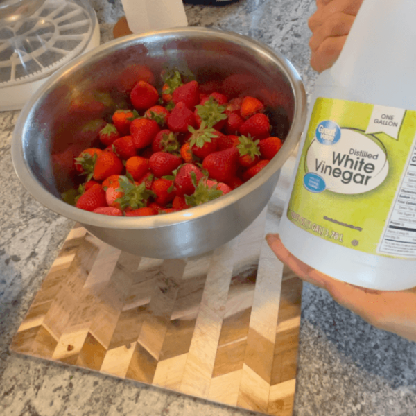 Strawberry Powder: A Step-by-Step Guide - The Homestead Nurse