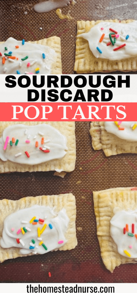 HOW TO MAKE SOURDOUGH POP TARTS